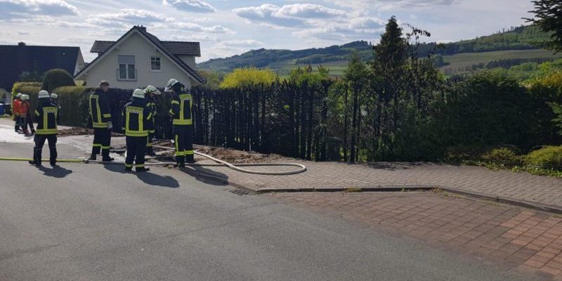 06 2019 brennt hecke