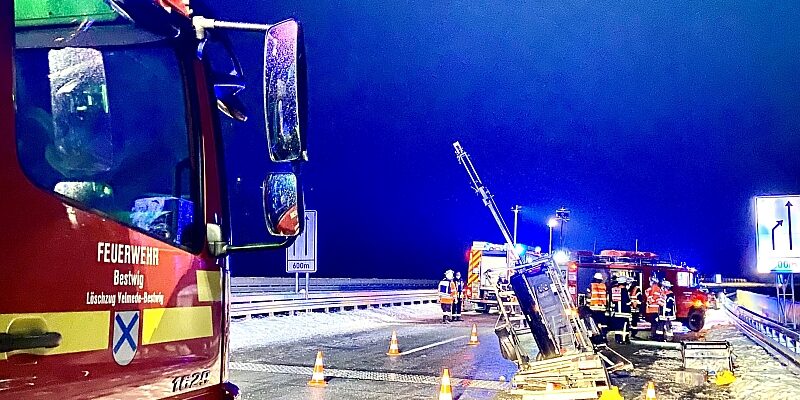 2021 01 VU BAB46 Nuttlar