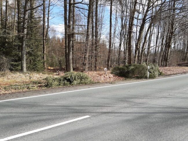 2021 03 11 SturmL776