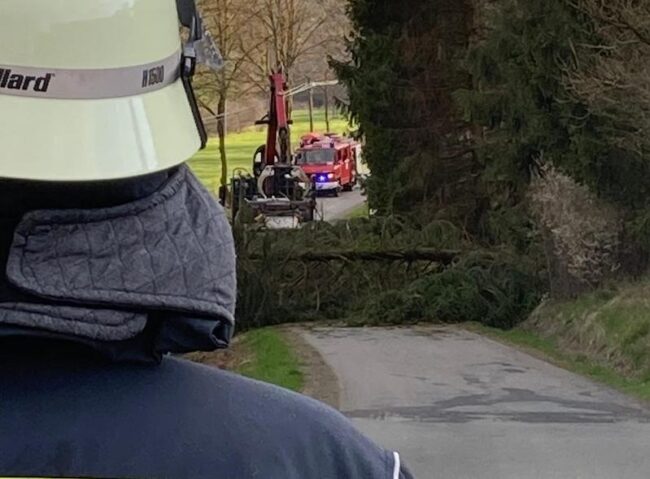 2021 05 Sturm Nuttlar-Grimmlinghausen