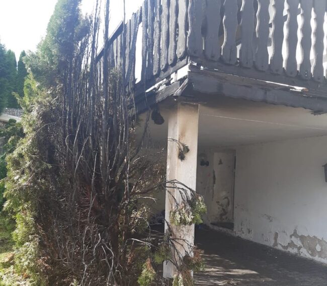 2022 08 Heckenbrand Nuttlar