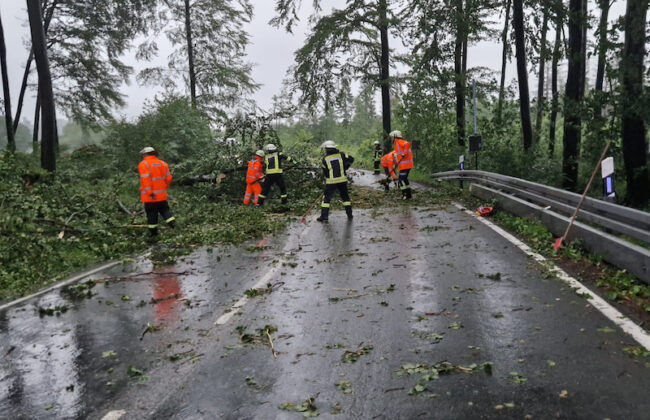 2023 06 Sturm Nuttlar L776