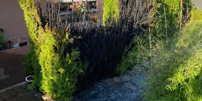 2023 09 Hecke