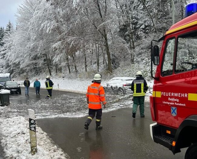 2023 11 Baum auf Straße Ramsbeck
