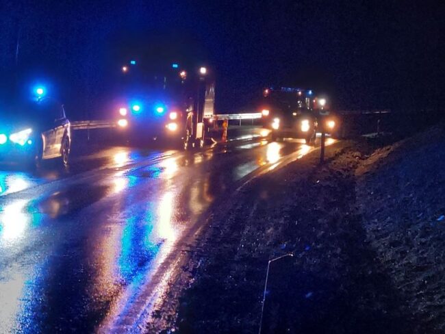 2023 12 Ölspur Nuttlar