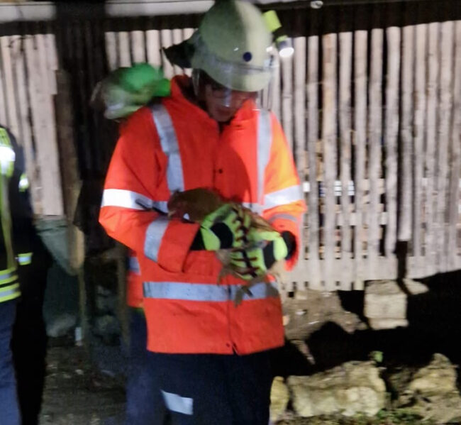 2023 12 Sturm Nuttlar Hühnerstall