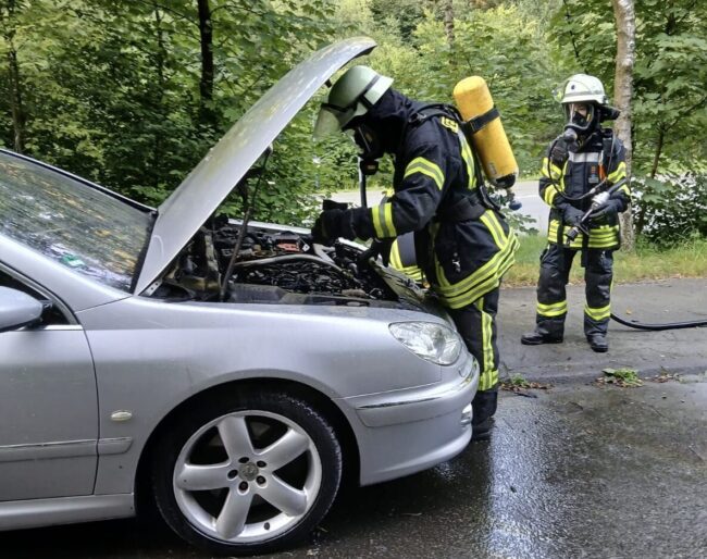 238f9fd5-c782-43c8-9427-3ca25357273c