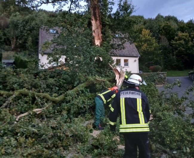 2024 09 Sturmschaden Ramsbeck