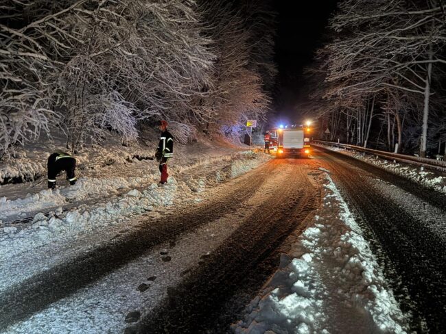 95191f48-66ba-49b4-aa90-4c21929a28cf