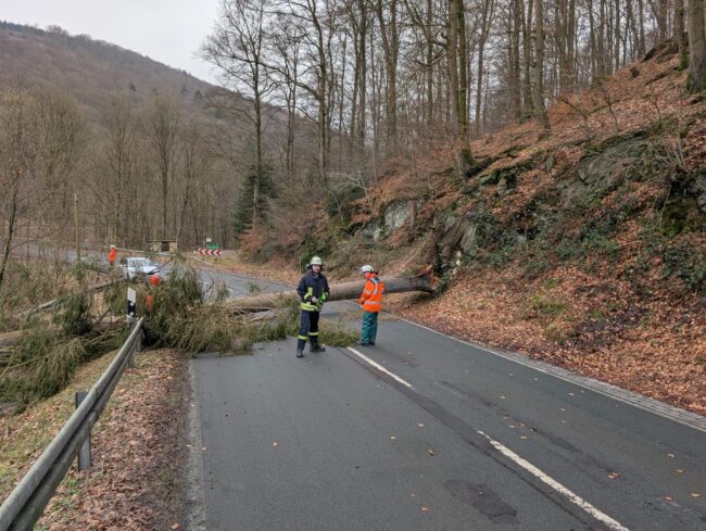 6a3158f5-2f0f-413f-9e27-919647247bcc