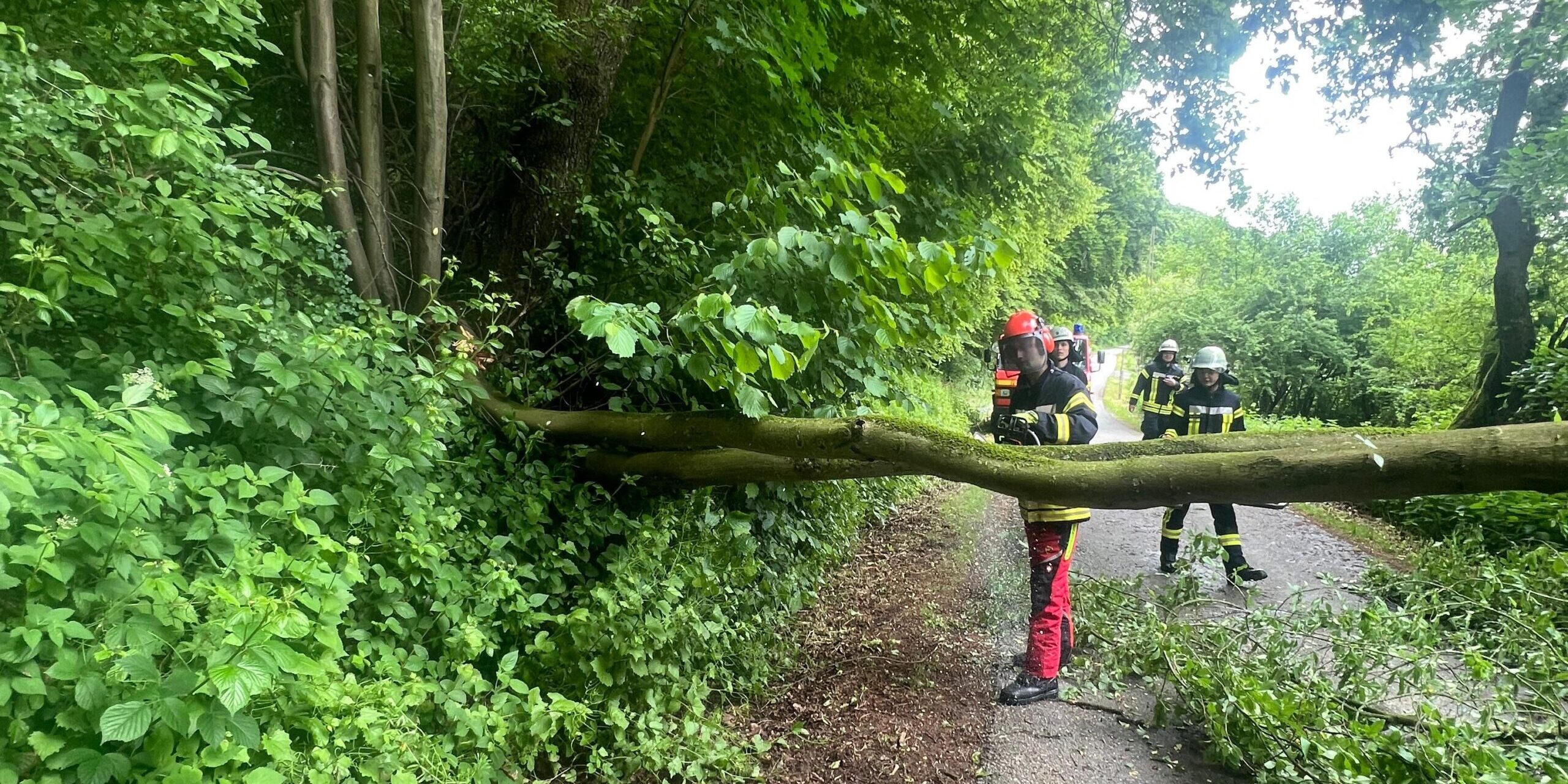 97afdad6-7f55-4198-b60a-e103e46ab999