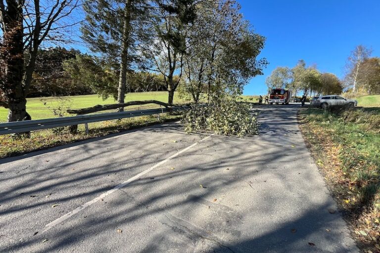 20215 10 Sturmschaden K 44 Velmede 800px