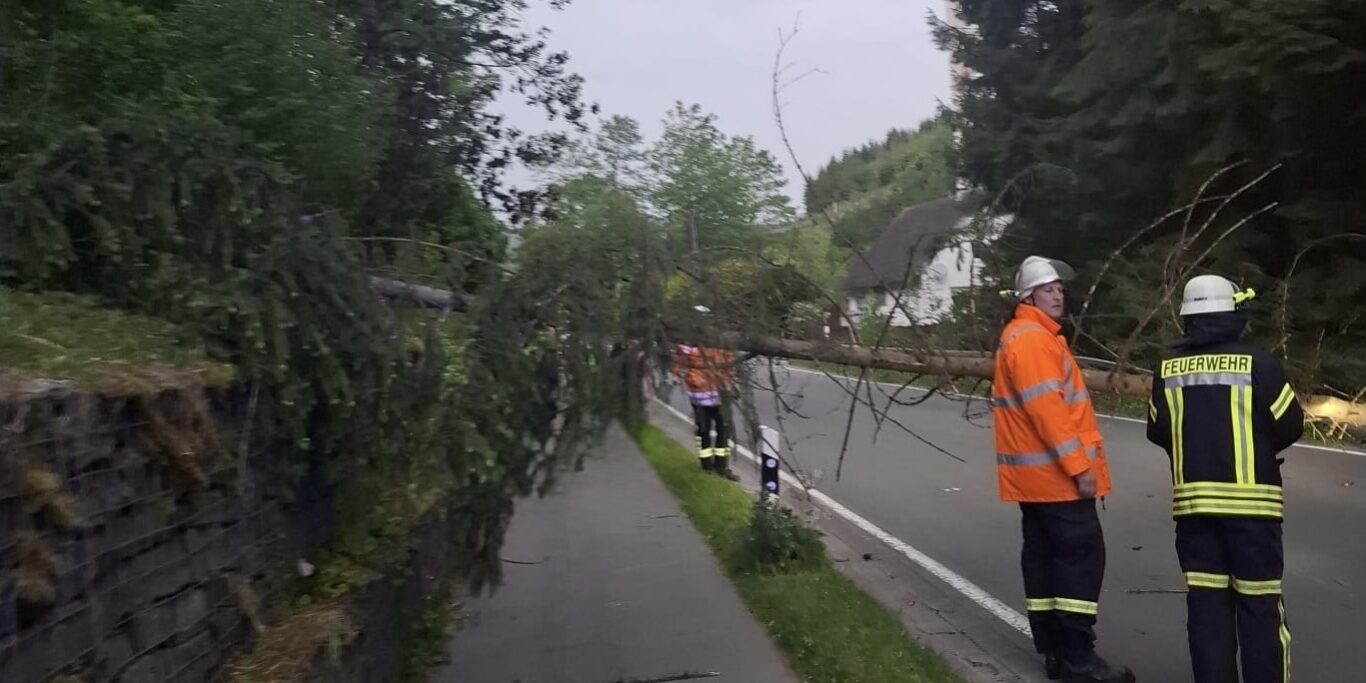 2026 05 Baum auf Straße Nuttlar