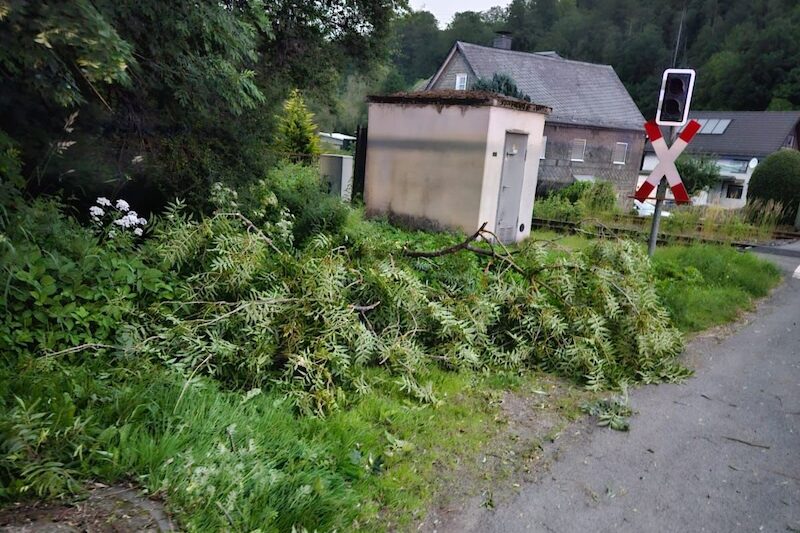 2026 06 Sturmschaden Nuttlar