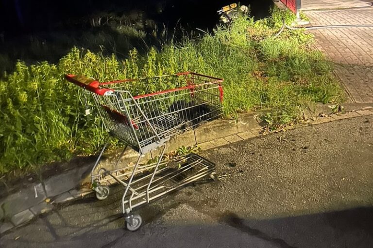 2026 08 Kleinbrand Einkaufswagen