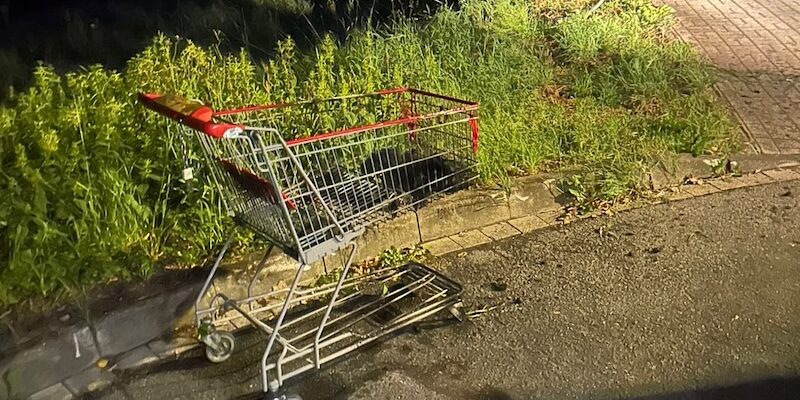 2026 08 Kleinbrand Einkaufswagen